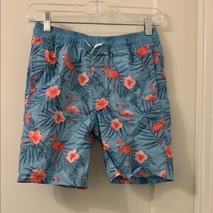 Flamingo Print Blue Swim Shorts